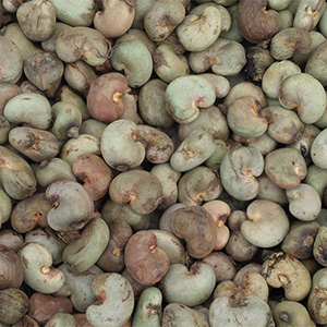 Raw Cashew Nuts
